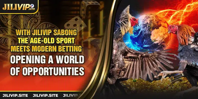 With jilivip sabong the age old sport meets modern betting opening a world of opportunities