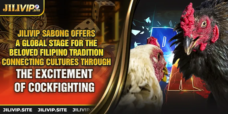 Jilivip sabong offers a global stage for the beloved filipino tradition connecting cultures through the excitement of cockfighting