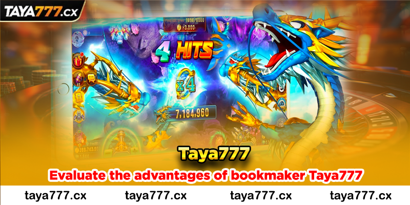 The most honest and detailed review of bookmaker Taya777