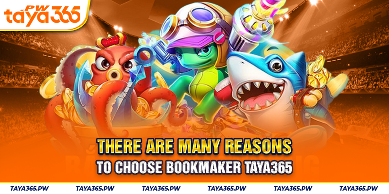There are many reasons to choose  Taya365 casino