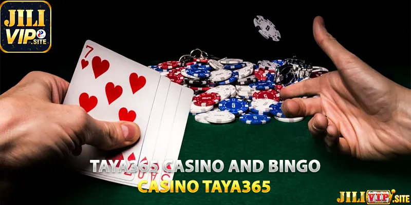 Taya365 Casino and Bingo