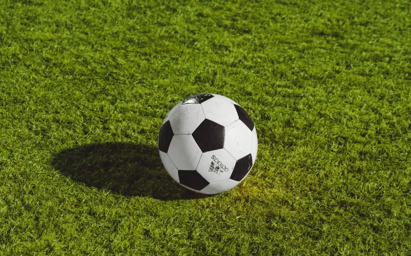 Compare Odds and Look for Value Bets