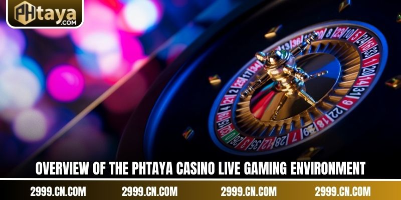 Overview of the PHTAYA Casino live gaming environment